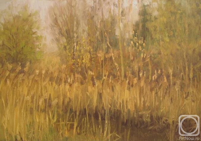 ������� ������ �� ������. ������ ������. �������� ����