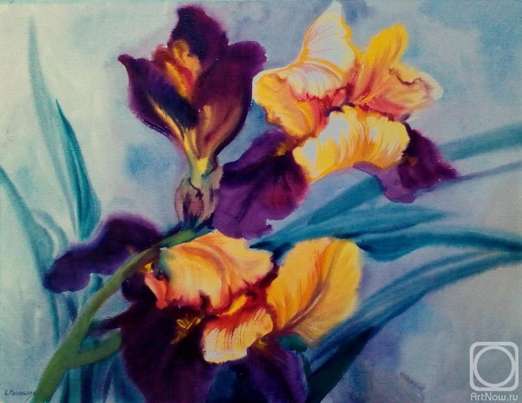 �������. ���������� ���������. ���� ������