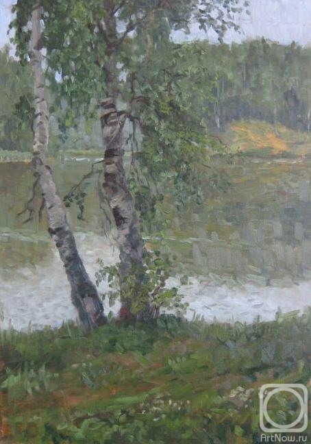 Chertov Sergey. Birches on the shore of the lake (study)