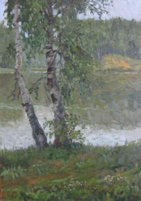 Birches on the shore of the lake (study)