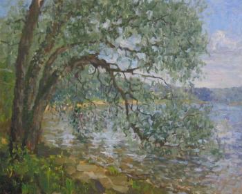 Willow over the lake (study)
