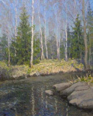 Spring Creek. Chertov Sergey