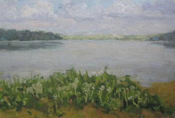 Dandelions by the lake (etude)