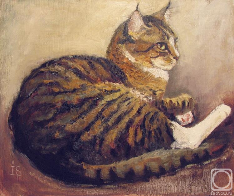 ������� ������ �� ������. �������� �����. ����