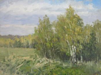 Birch. Spring (etude). Chertov Sergey