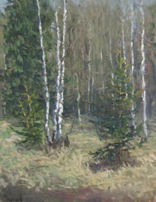 In the spring forest (etude). Chertov Sergey