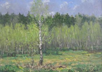 Birch. The first greenery (etude). Chertov Sergey