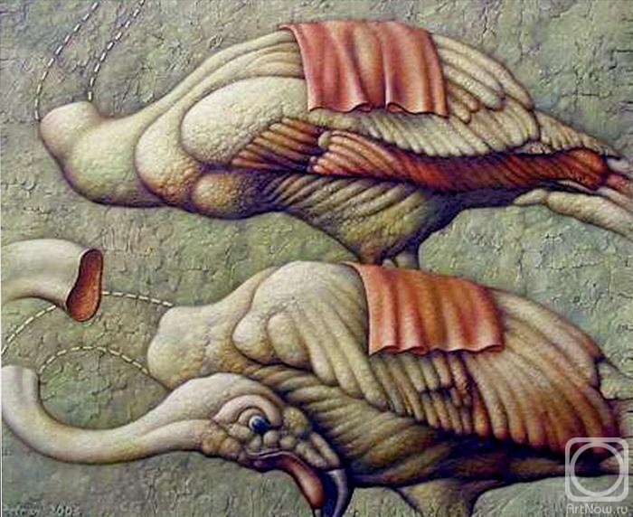 Petran Vladimir. Large birds