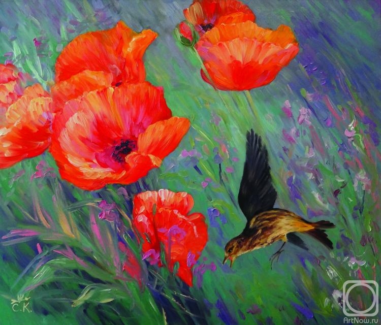 ������� ������ �� ������. ������������� ��������. ����� �����. ����