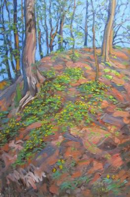 Painting Primroses on the slopes of the ravine, sunset. Dobrovolskaya Gayane