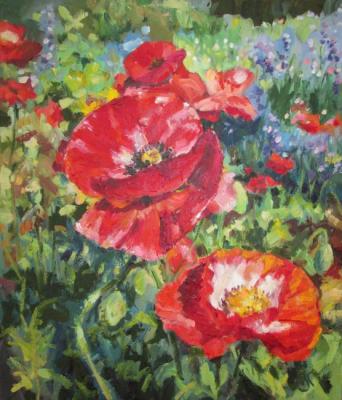 ������� �����