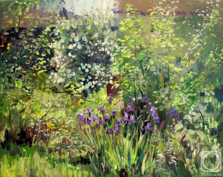 ������� ������ �� ������. ������ �����. ����������