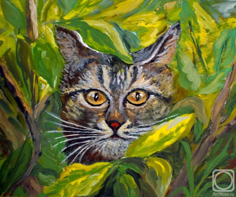 �������. ������� ���������. �������