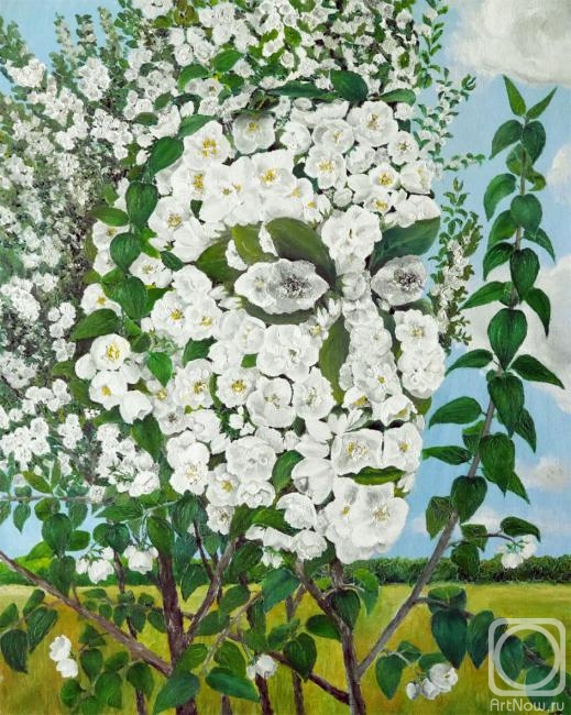 ������� ������ �� ������. ������� �������. ������