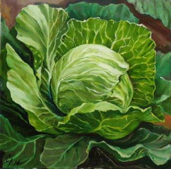 Cabbage. Mishchenko-Sapsay Svetlana