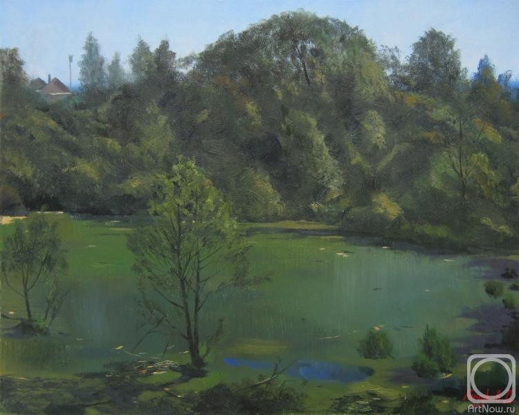 Anchukov Dmitri. Overgrown pond