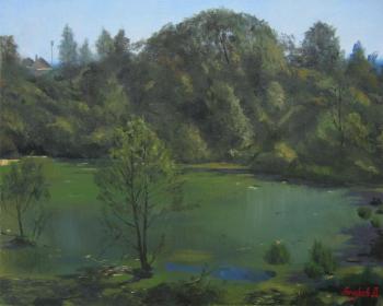 Overgrown pond (). Anchukov Dmitri