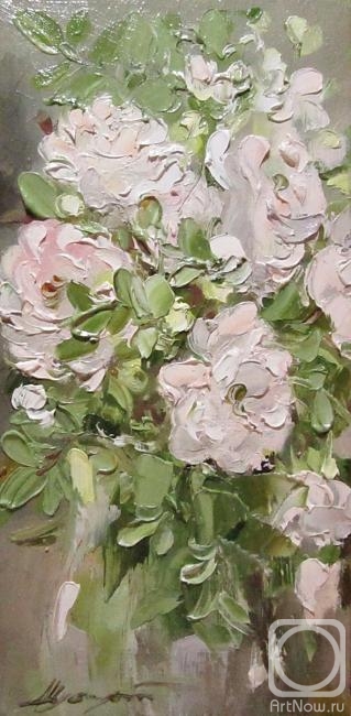 ������� ������ �� ������. ������ �������. ������� �������