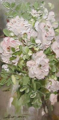 ������� �������� �������