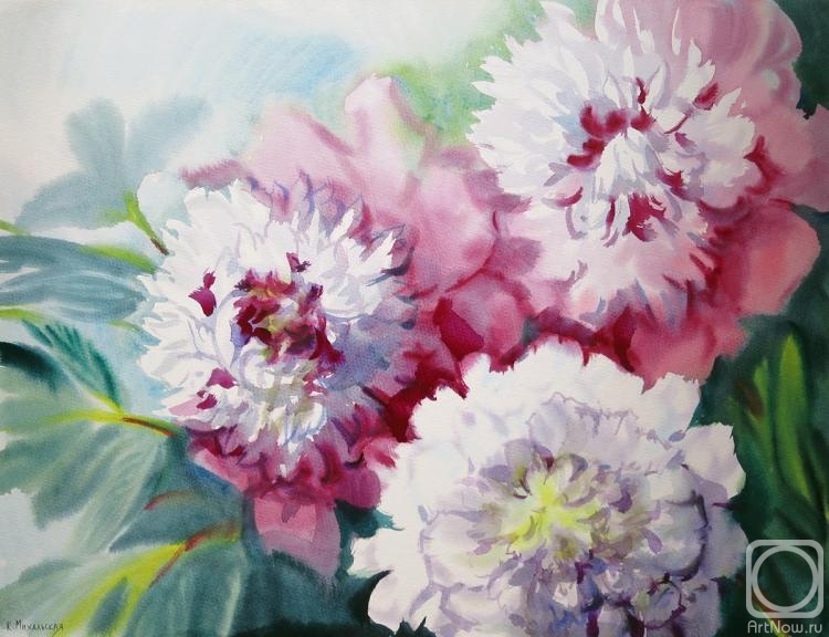 �������. ���������� ���������. �������� ������� ����