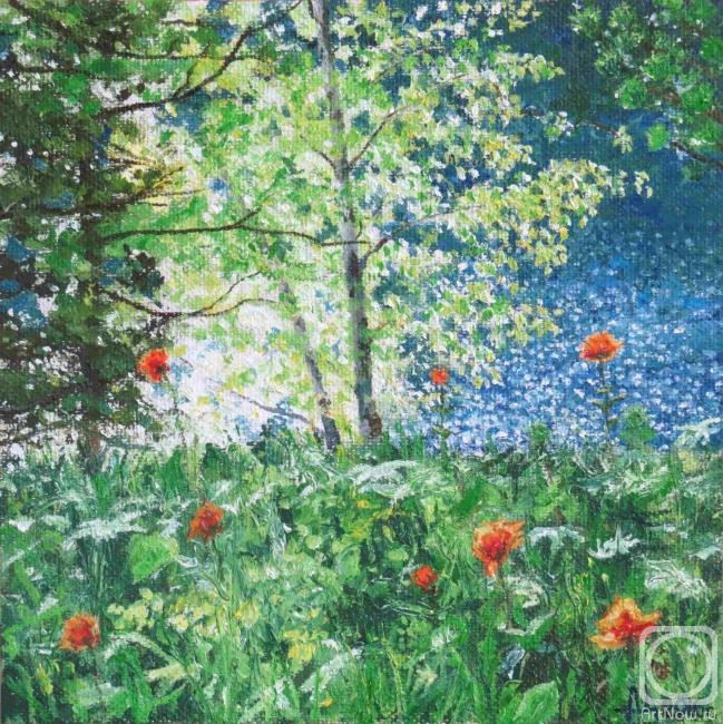 �������. �������� ���������. � ������� �����