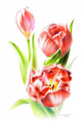 ������� ����������