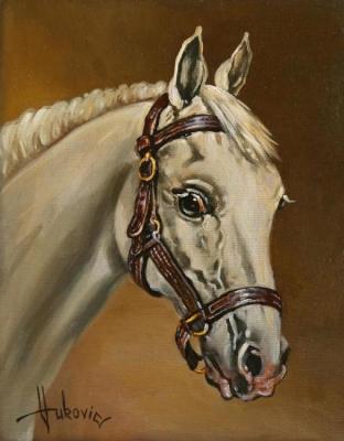 White Horse - portrait. Vukovic Dusan