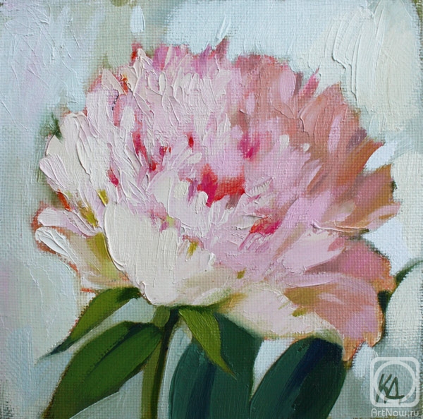 ������� ������ �� ������. ��������� ����. �������