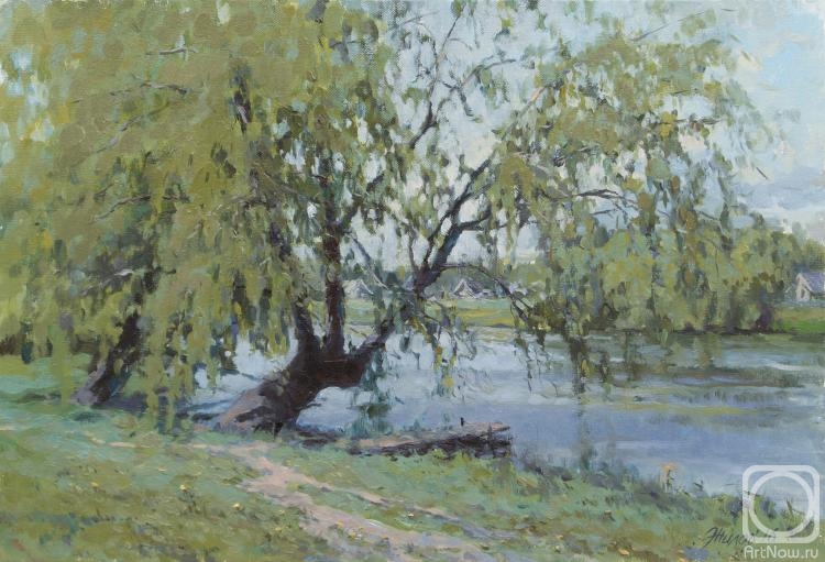 Zhilov Andrey. Pashutinskaya willow