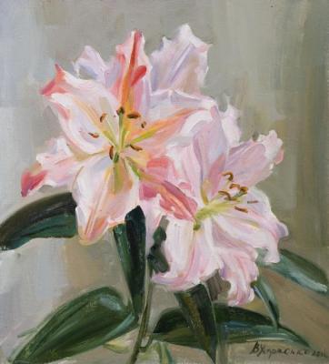 Pink lilies. Kharchenko Victoria