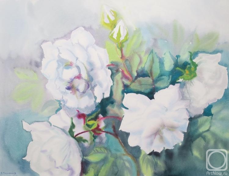 �������. ���������� ���������. ���� ����� �����