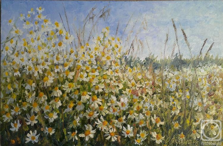 �������. ������ �����. ���� � ���������