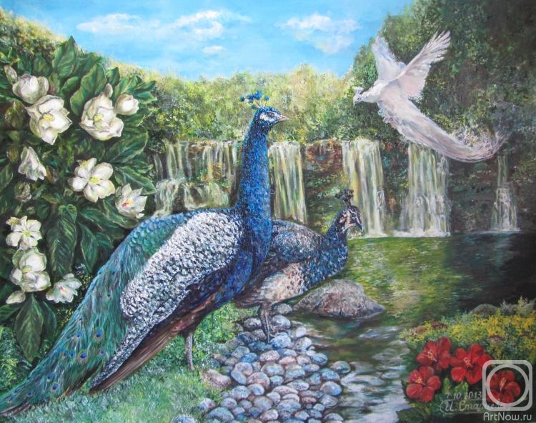 Startseva Irina. Where the sun wakes up �