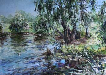 Pond in the Izmailovo Park ( ). Kruglova Svetlana
