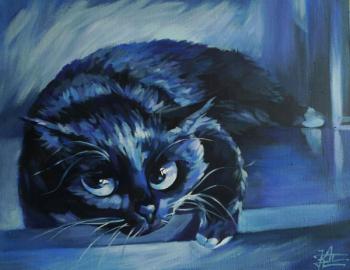 Night Cat (At Night). Panina Kira