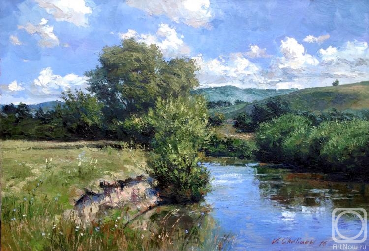 Chelyaev Vadim. Summer day at the river