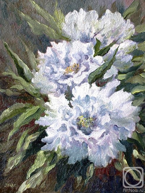 �������. �������� ������. ����� ����� (����)