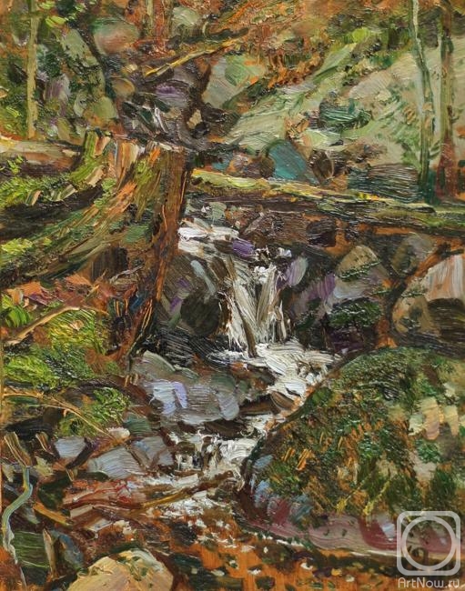 �������. ��������� �����. ����� � ����. ����������� �������������. ��������