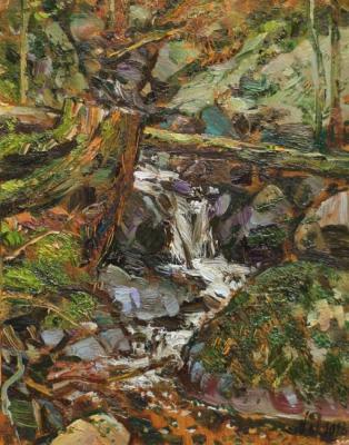 A stream in the woods. Kristiansand nearby. Norway. Ovsianikov Anton