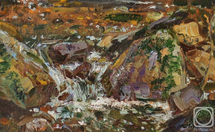 Ovsianikov Anton. A stream in the woods. Kristiansand nearby. Norway