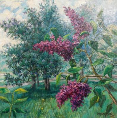 Cloudy morning in the Lilac Garden. Kovalevscky Andrey
