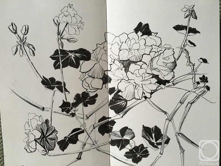 �������. ���������� �����. ������