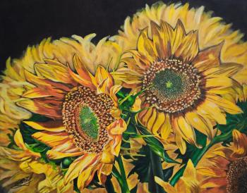 ������� �����������