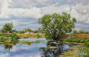 Summer Pond. Volya Alexander