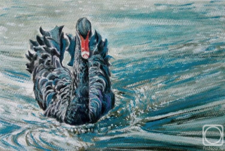 Zozoulia Maria. Black Swan