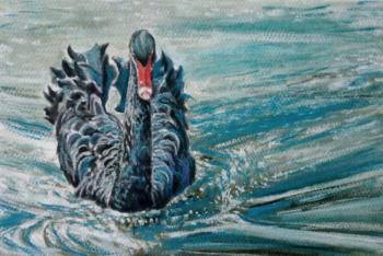 Black Swan. Zozoulia Maria