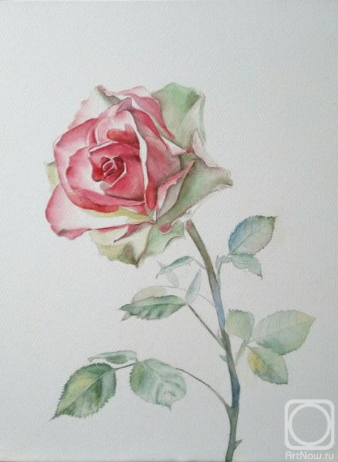 �������. ������ �����. ����