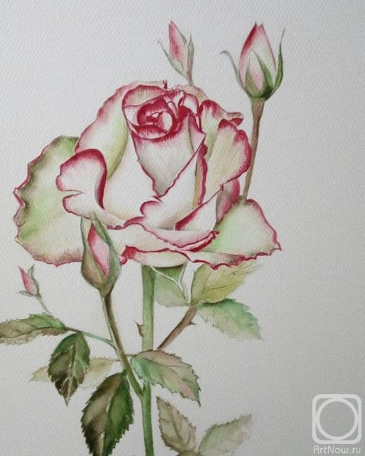 �������. ������ �����. ����