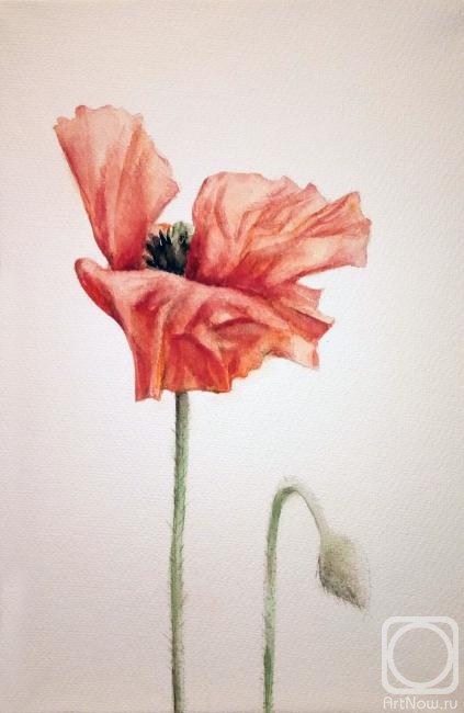 �������. ������ �����. ���