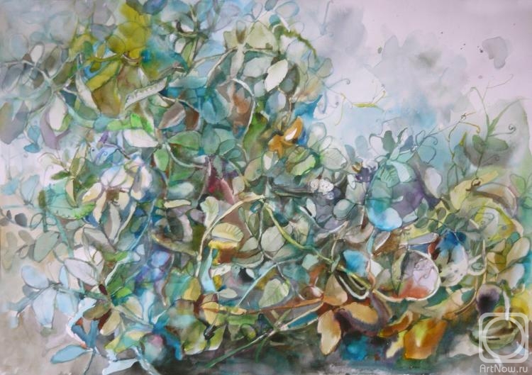 �������. ����������� ������. ������� 2